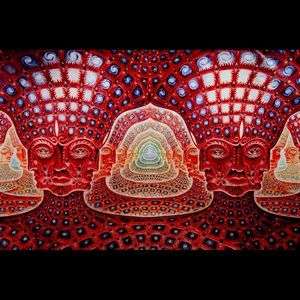 Meet your Posher, Kristyn